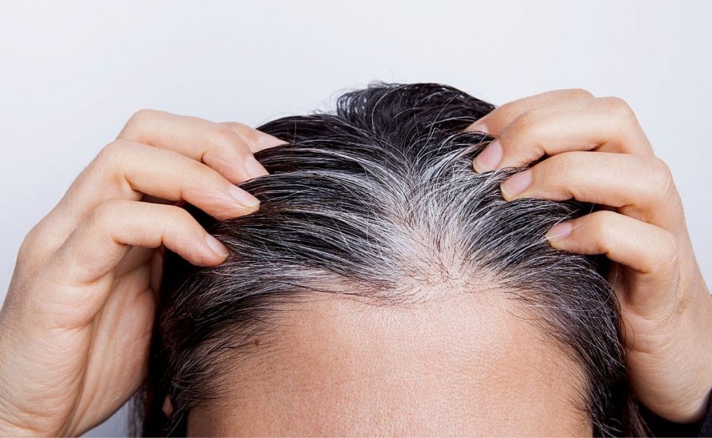 Existen Mitos En Relación A Las Canas