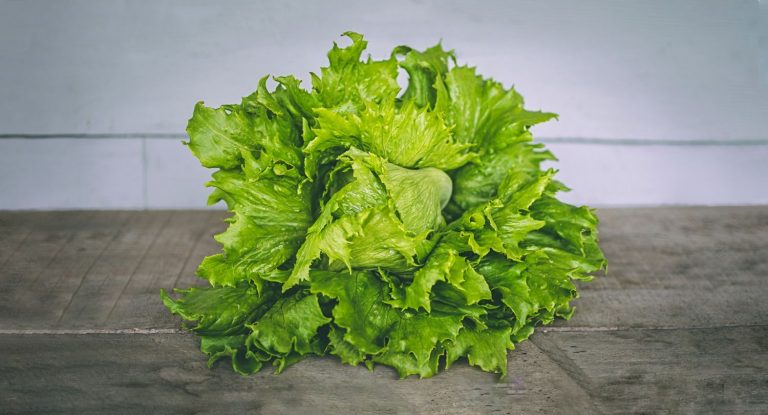 El truco de Arguiñano para que la lechuga te aguante más tiempo