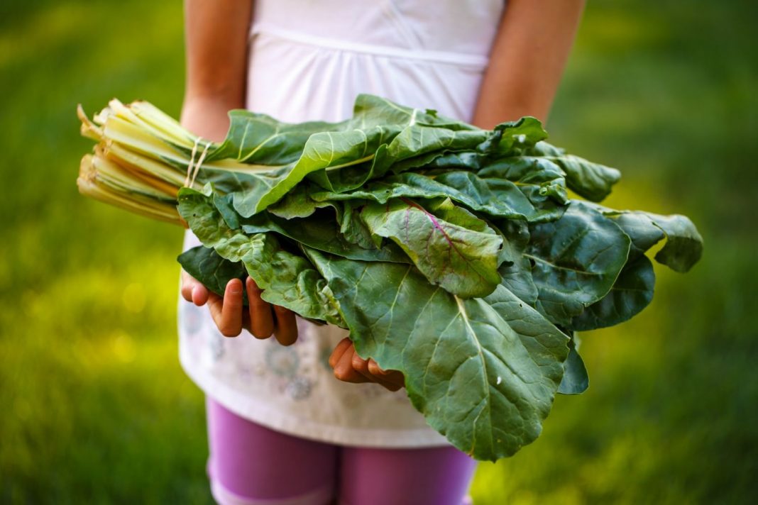 El truco de Arguiñano para que la lechuga te aguante más tiempo