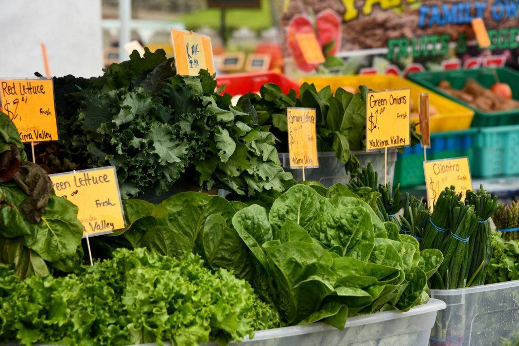 El truco de Arguiñano para que la lechuga te aguante más tiempo