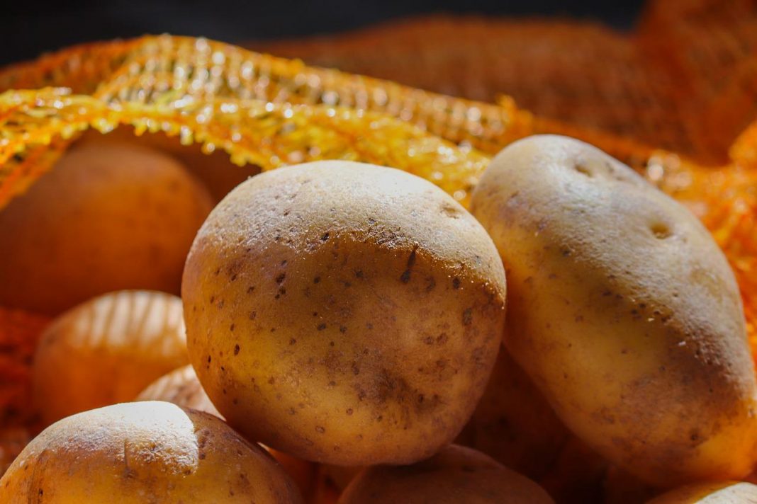 receta