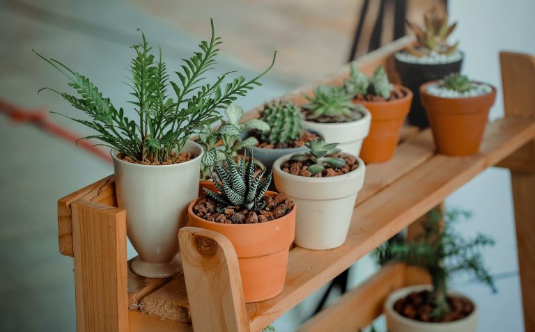 El truco para eliminar las malas hierbas de tu jardín y que no aparezcan más