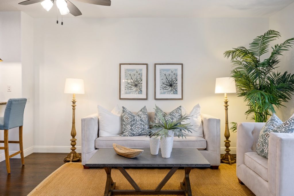 Objetos De Decoración 