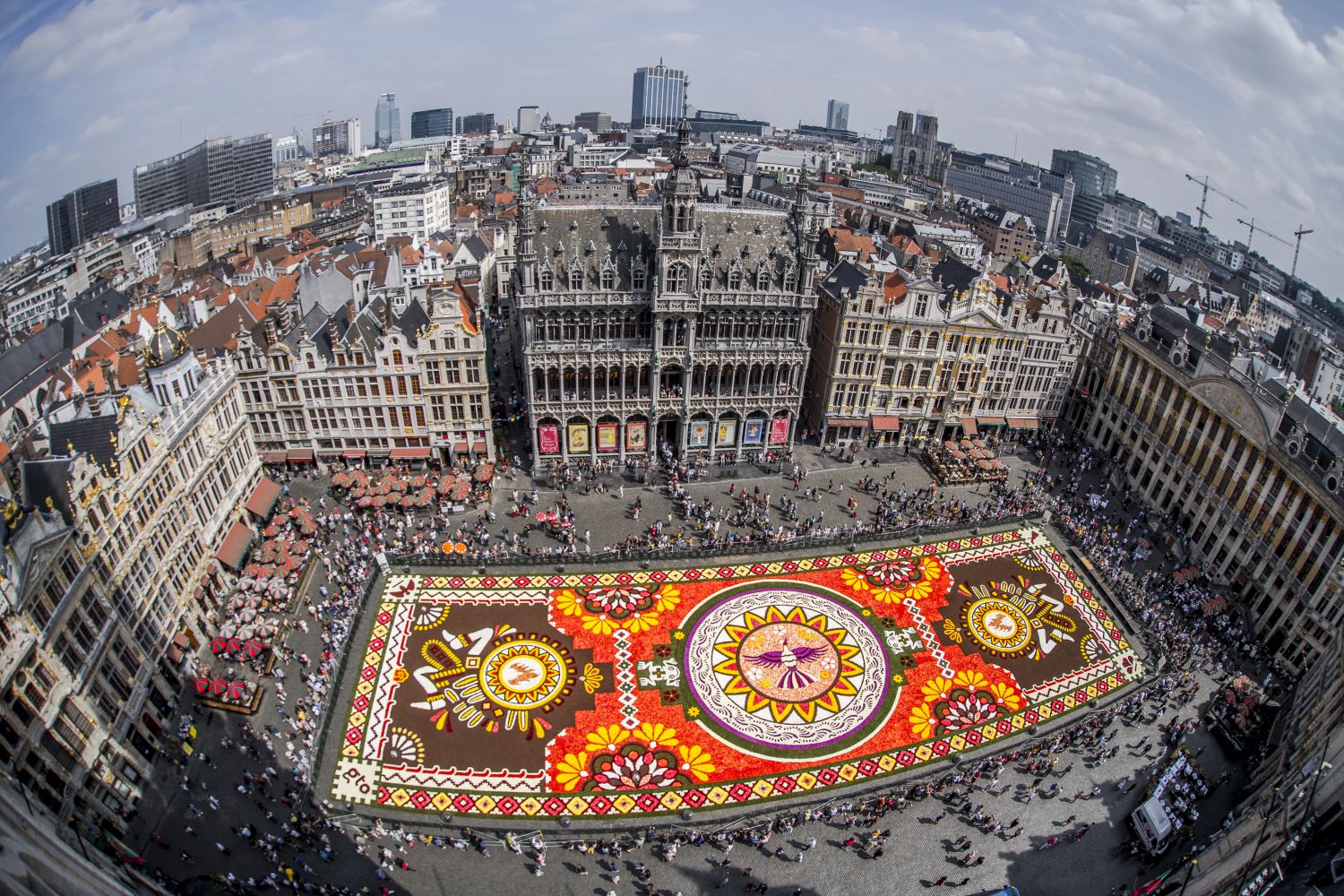 Tapis De Fleurs Bloementapijt Flower Carpet 2018 Eda 1490 © Visit.brussels Eric Danhier