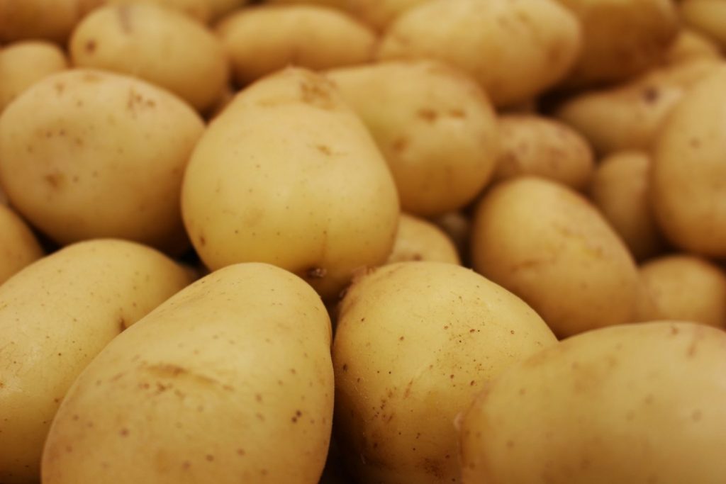 El Guiso De Patatas Con Bacalao De Pepe Rodríguez Que Hacen Igual En El Bohío 