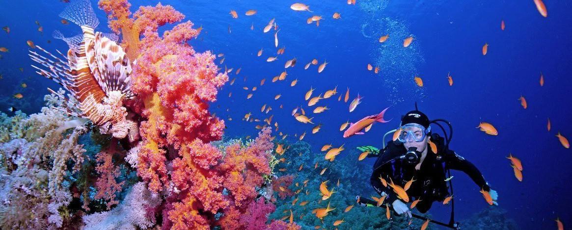 Itinerarios A Medida Y Experiencias Completas, Así Es El Verano Que Plenia Travel Planea Para Ti – Noticias Empresariales 1 Whycheiofhnnvityim9Qmn4Nwrhakdiibhgx Gyn7Rp6Kzy7C9Maowmt Syblgzt8Zrca64Eeiyhqcogwvqjg5P5Cn9D5S7474Synuo4F6Hcpxk7Ih8Ql9Ke7Nkfea7Km51Aiqupgcyj0Mut K2Dhbu