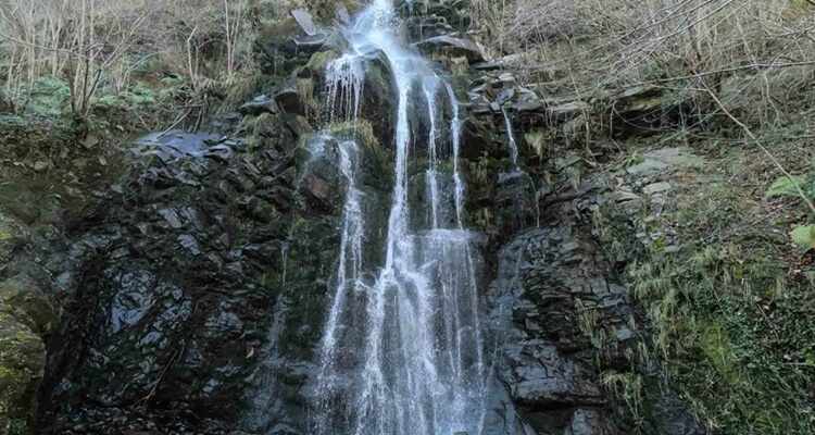 Xurbeo Asturias