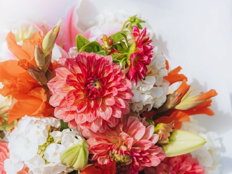 El lenguaje de las flores