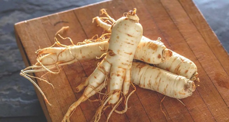 Ginseng Azucar Sangre