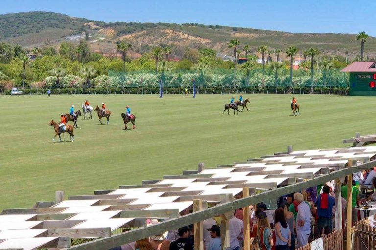 Tener una casa en Sotogrande y disfrutar de una vida exclusiva en la Costa del Sol de la mano de Noll Sotogrande