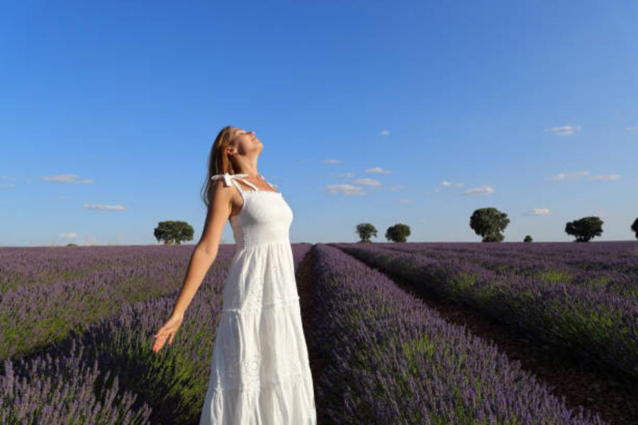 Festival de la lavanda en el pueblo