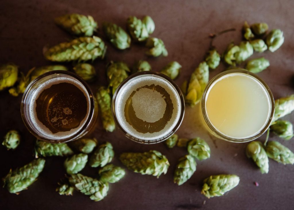 La Mejor Cerveza Que Puedes Usar Para Tus Guisos