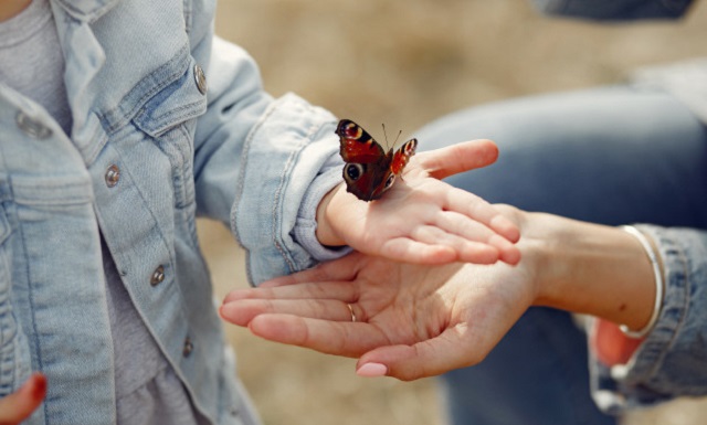 Piel De Mariposa