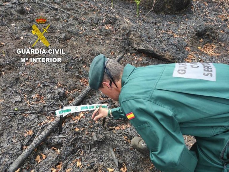 Detenido un vecino de Coristanco (la Coruña) como presunto causante de un incendio forestal