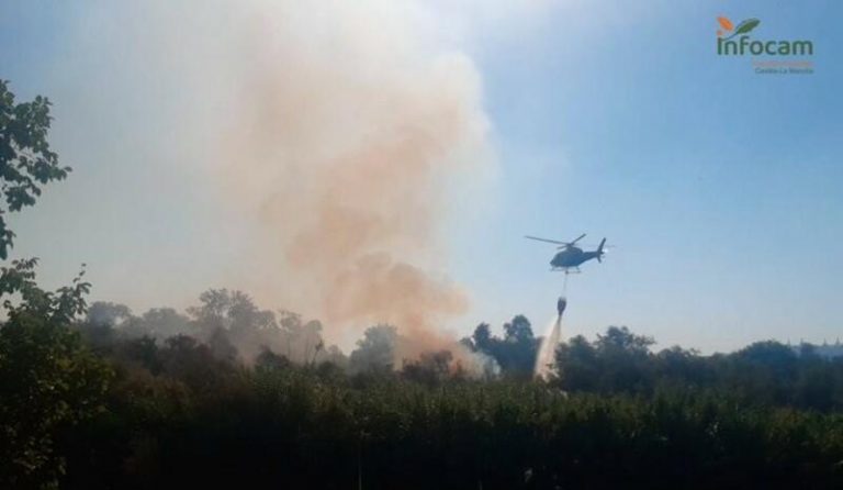 La alcaldesa de Toledo asegura que aún se desconoce la causa del incendio que afecta a una isla del Tajo