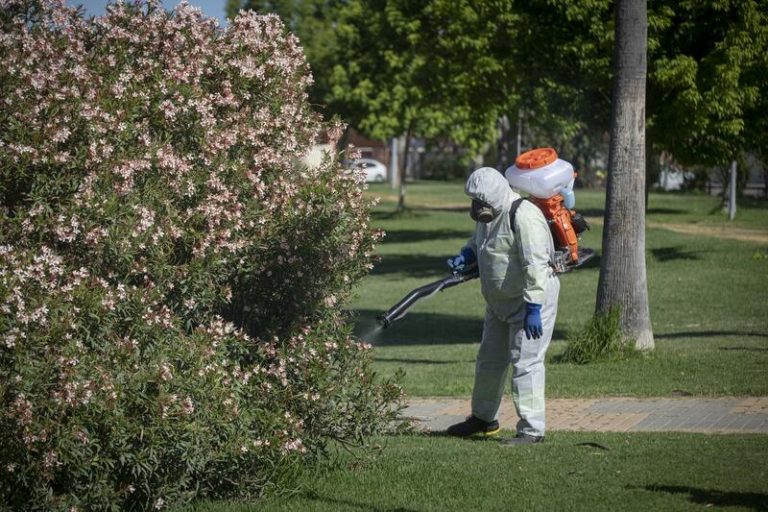 Hospitalizada una menor de Sevilla al contraer la enfermedad del virus del Nilo