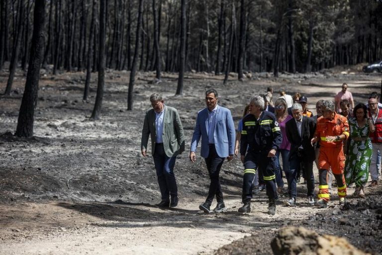 Sánchez pide evitar «confrontación política» sobre el incidente del tren de Bejís y promete «absoluta transparencia»