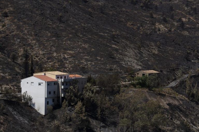 Bejís empieza el «día a día» tratando de «cubrir necesidades básicas»