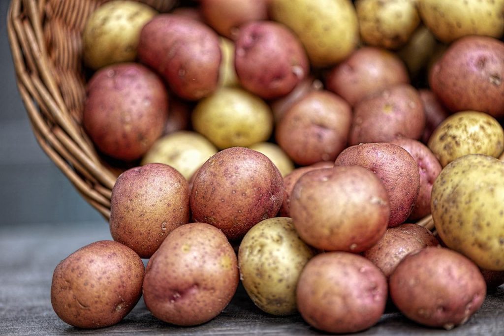 Patatas