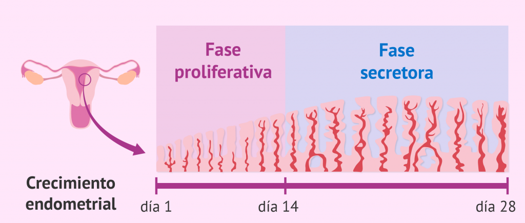 ¿La Biopsia Es La Única Opción?