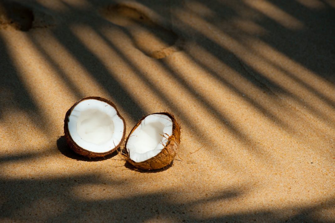 Conservas de coco: el dulce típico de Venezuela que encantará a los más pequeños