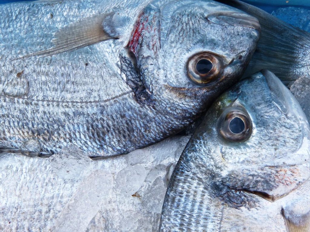 Dorada Frita La Forma Original De Comer Pescado De Otra Manera5