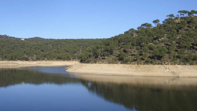 ¿Los Pantanos Tienen Corrientes?