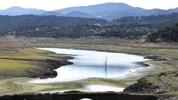 Caminar Dentro De Un Pantano