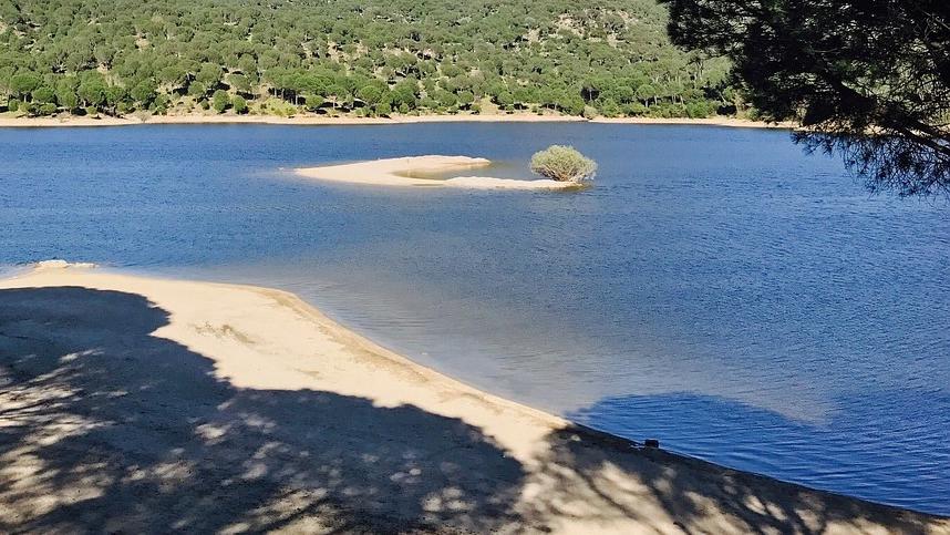 ¿Cómo Es La Profundidad De Un Pantano?