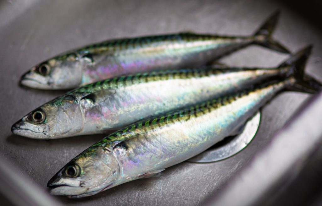 El truco para asar sardinas en un minuto y que no huelan
