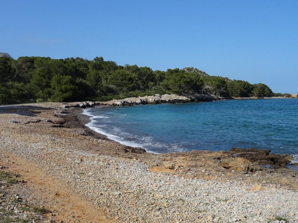 En Mallorca, Playa De Alcudia