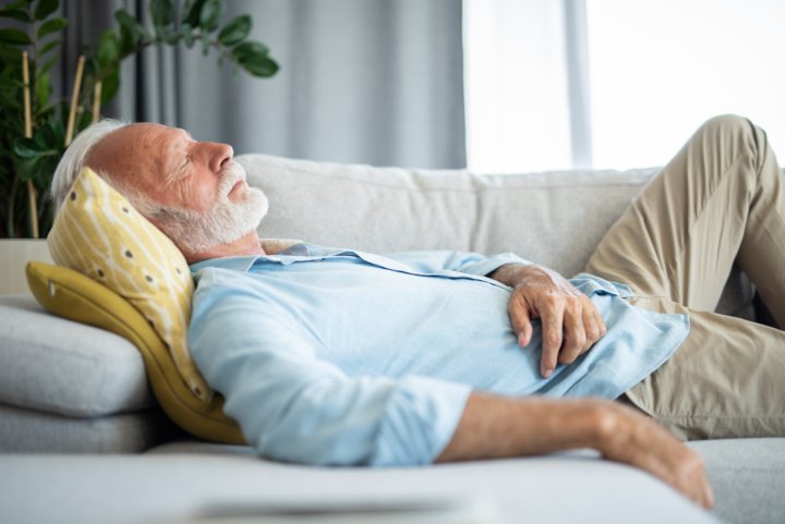 ¿Dónde Se Debe Tomar La Siesta?