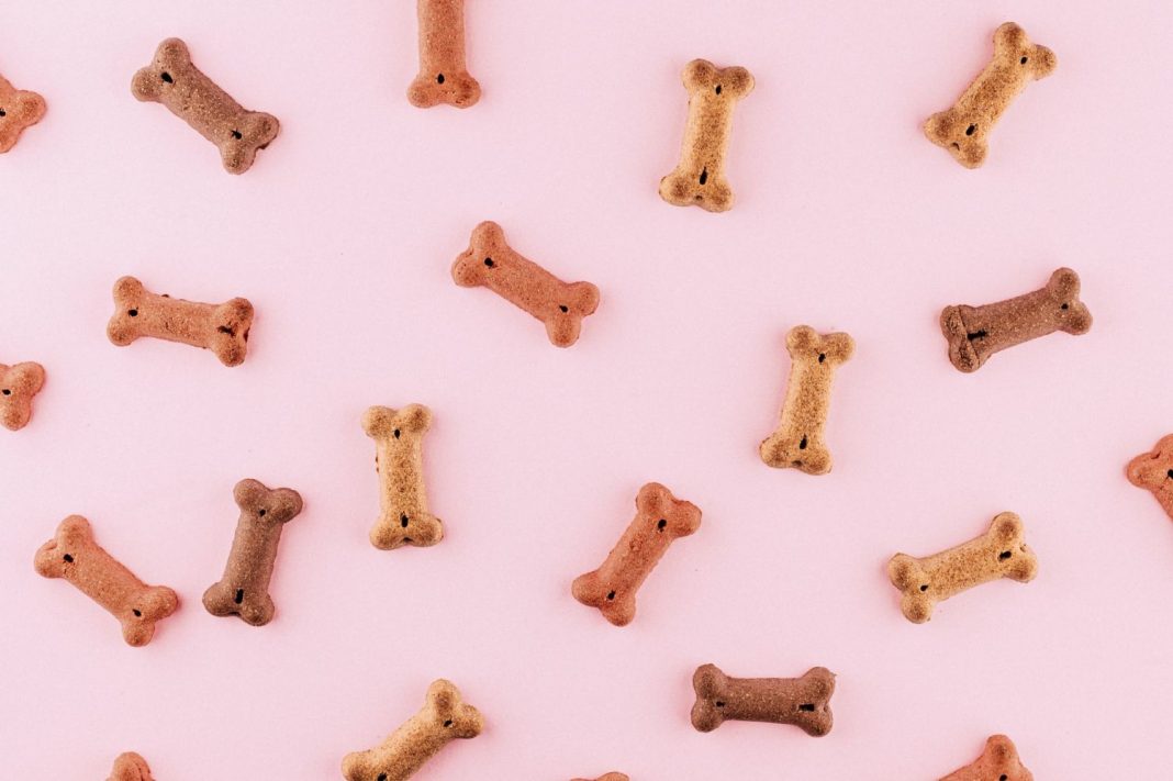Galletas caseras para perros: premia a tu mascota con algo saludable