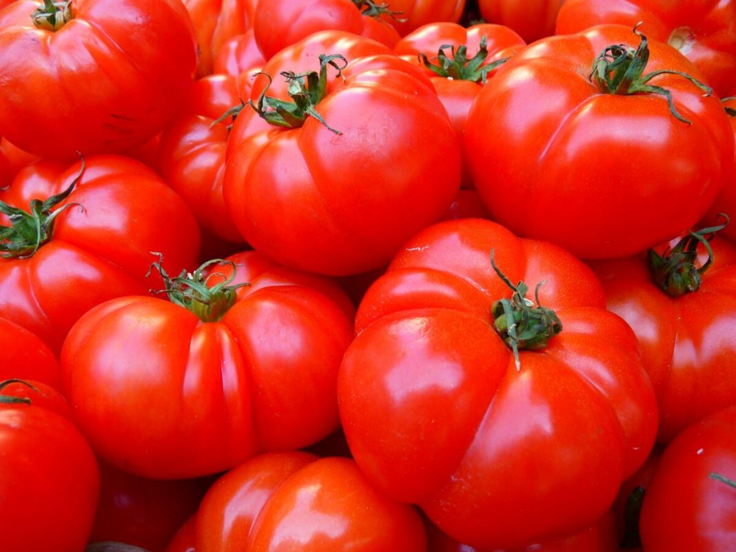 Gazpacho de cerezas la receta paso a paso de Dani García para triunfar