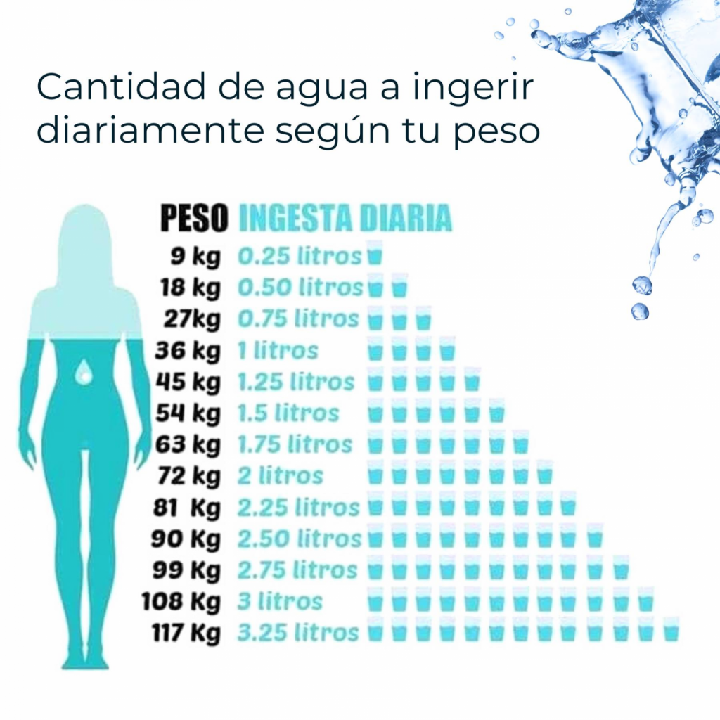 La Cantidad De Agua Que Debo Tomar