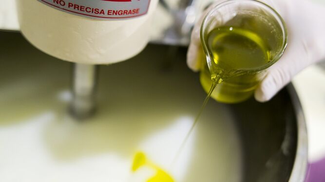 Las ultimas investigaciones sobre el aceite de oliva