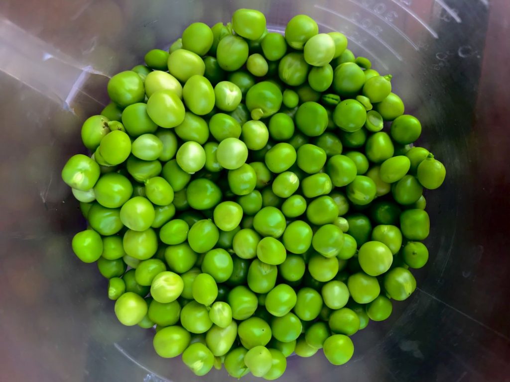 Guisantes