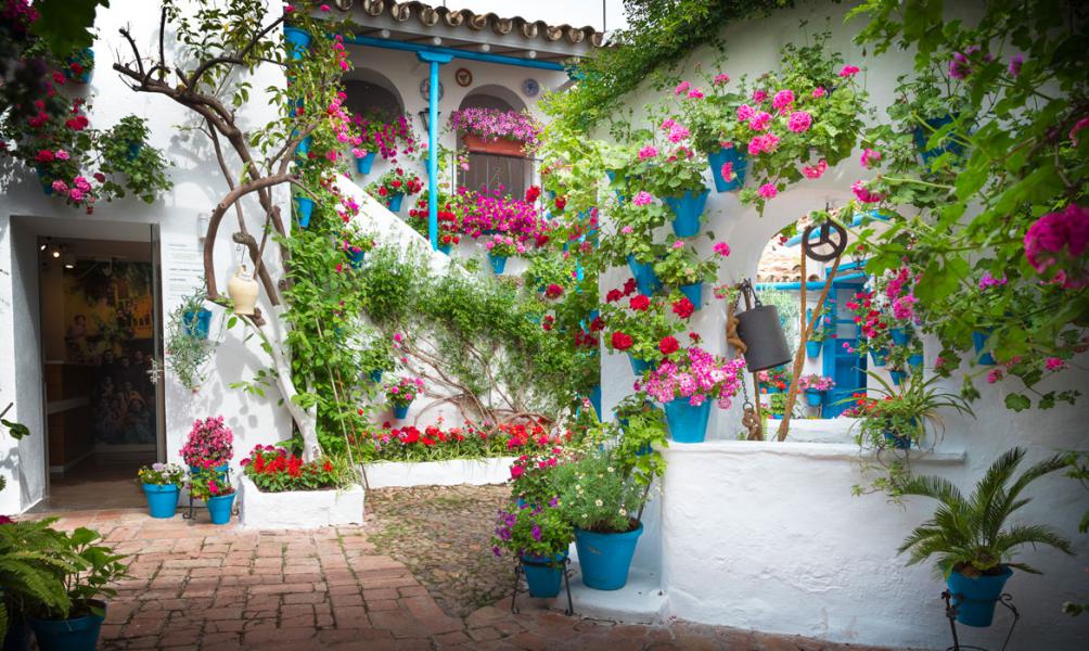 Andalucía: Patios de Córdoba