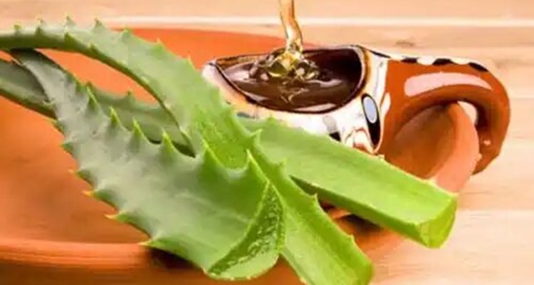 Aloe Vera Miel Cicatrices