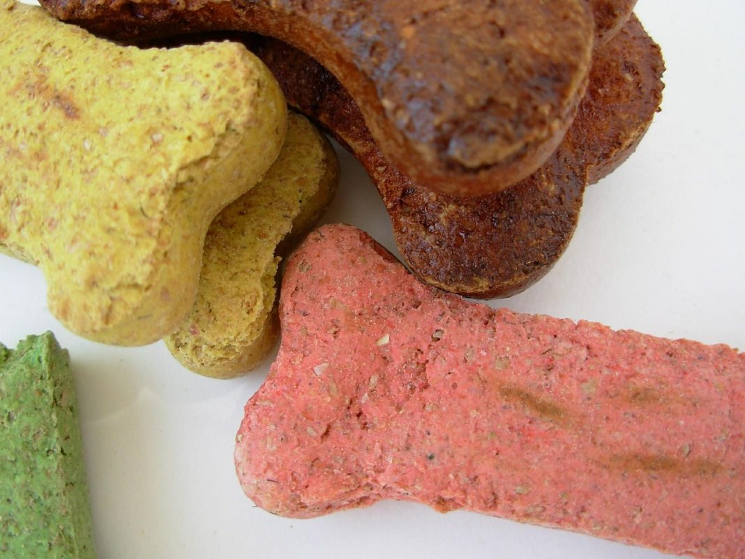 Galletas caseras para perros: premia a tu mascota con algo saludable