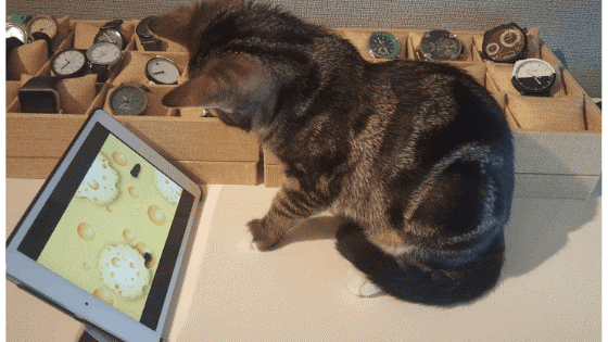 10 Juegos para gatos que puedes tener en tu móvil