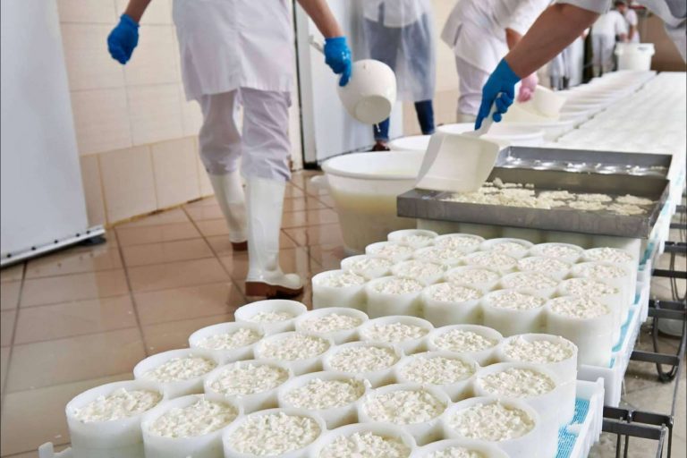 El software para queserías y fabricantes de lácteos diseñado por Alba Ibs