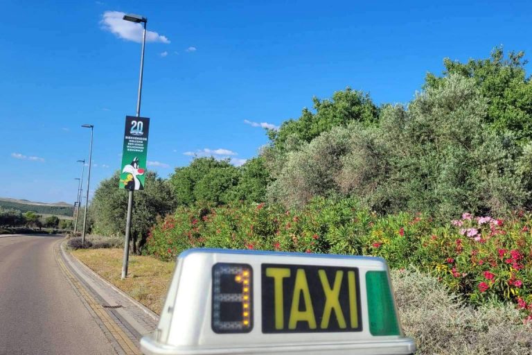Llegar al Parque Warner de la mano de Taxis Madrid Sur