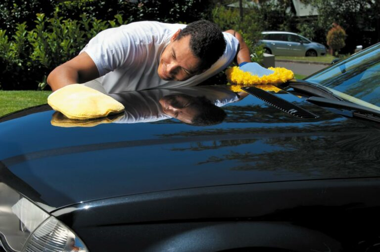 Limpieza Profunda Del Coche