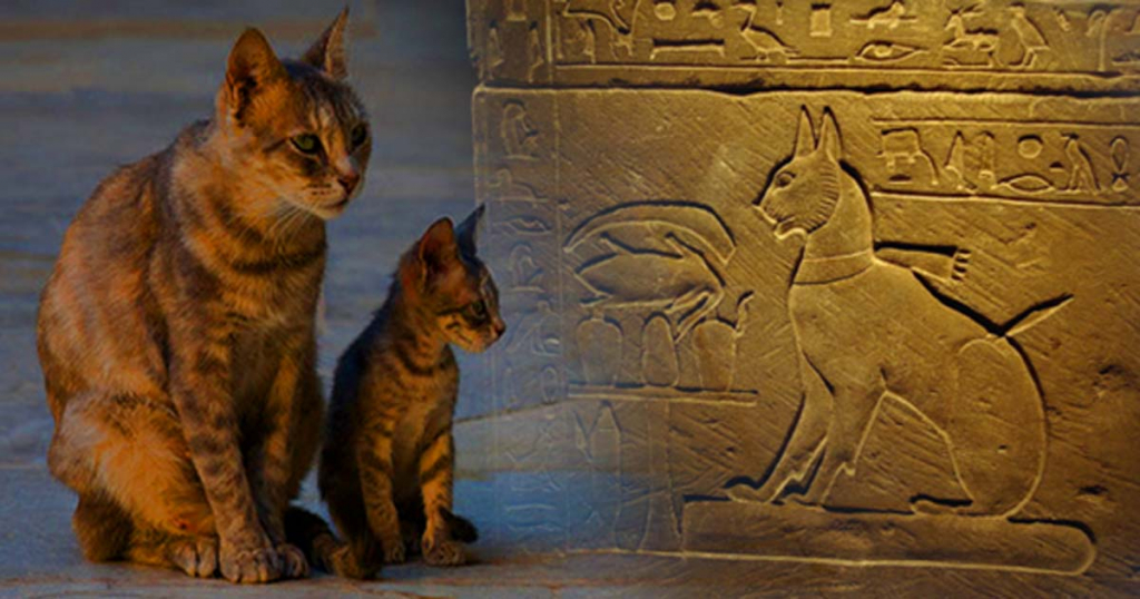 Los Egipcios Y Los Gatos