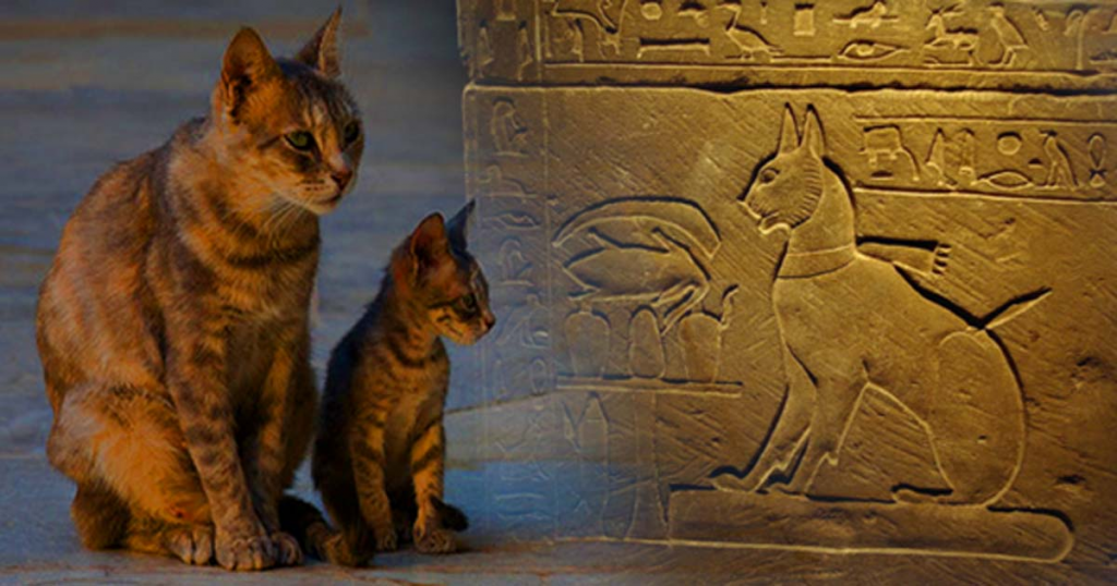 Los egipcios y los gatos
