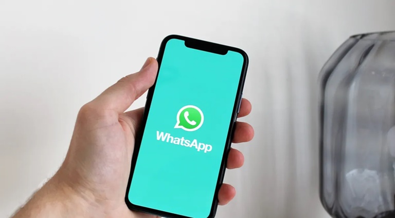 Whatsapp Calibrar