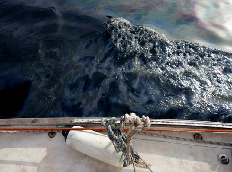 Vox ve «con enorme preocupación» el vertido del barco de Gibraltar y critica que «España no esté haciendo nada»