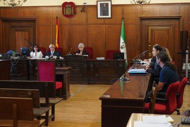 El acusado de asesinar a su tía en Sevilla alega que estaba «borracho» y quería «que se callara»
