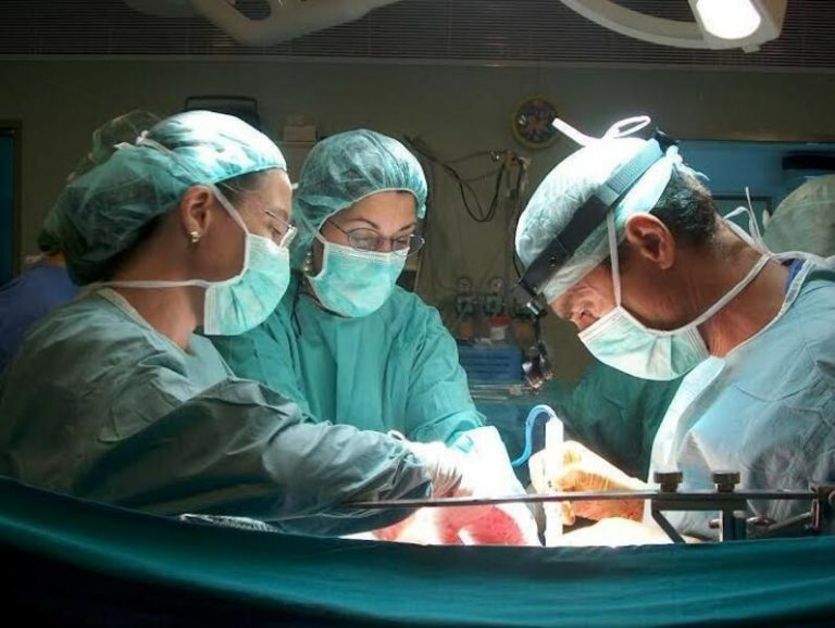 España aportó en 2021 el 22% del total de donantes de la Unión Europea